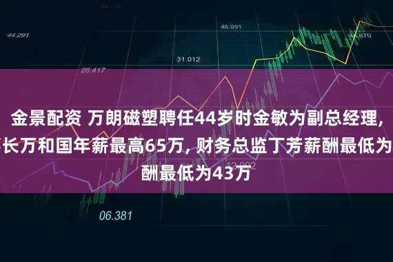 金景配资 万朗磁塑聘任44岁时金敏为副总经理, 董事长万和国年薪最高65万, 财务总监丁芳薪酬最低为43万