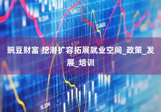 豌豆财富 挖潜扩容拓展就业空间_政策_发展_培训