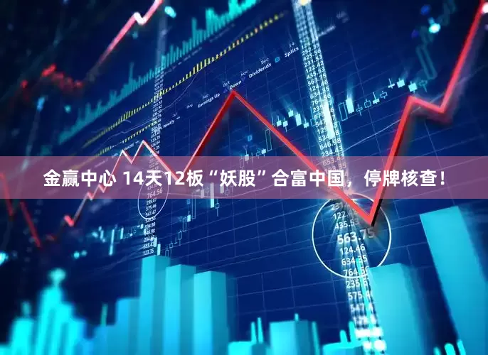 金赢中心 14天12板“妖股”合富中国，停牌核查！