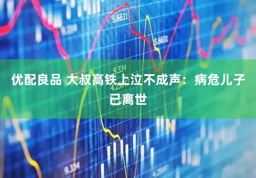 优配良品 大叔高铁上泣不成声：病危儿子已离世